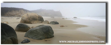 fog
- lucy vincent beach -