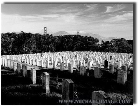 - fallen leaves -
presidio cemetery